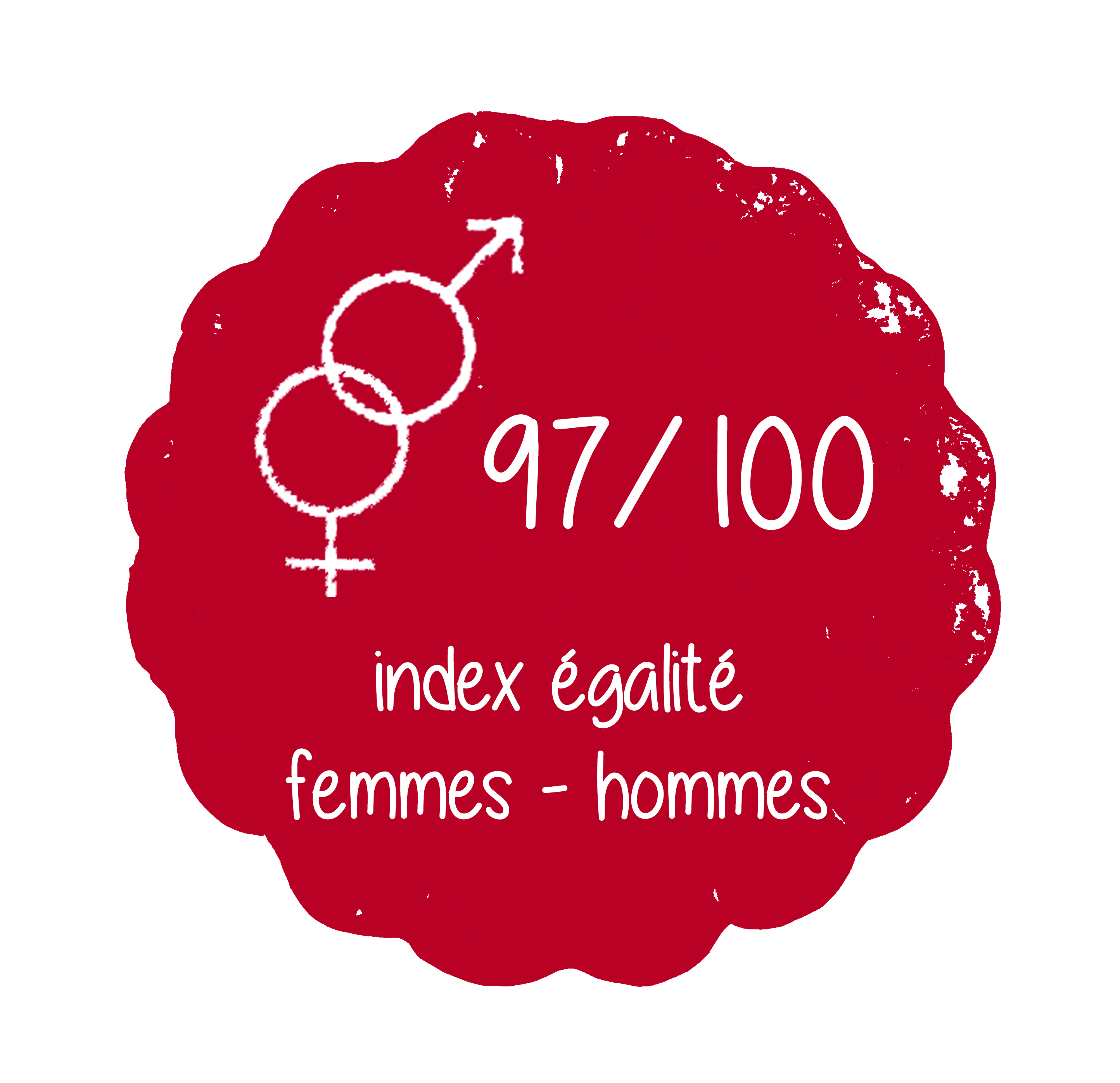 index égalité femmes hommes